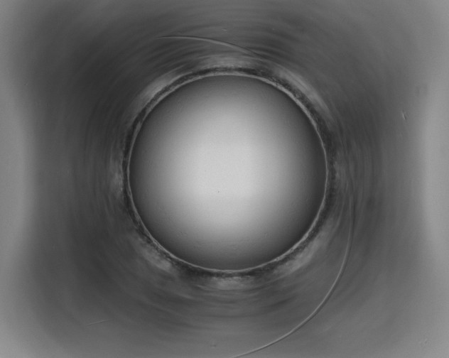 X0000115841025200911201548