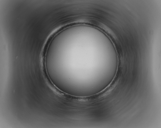 X0000115841029200911201548