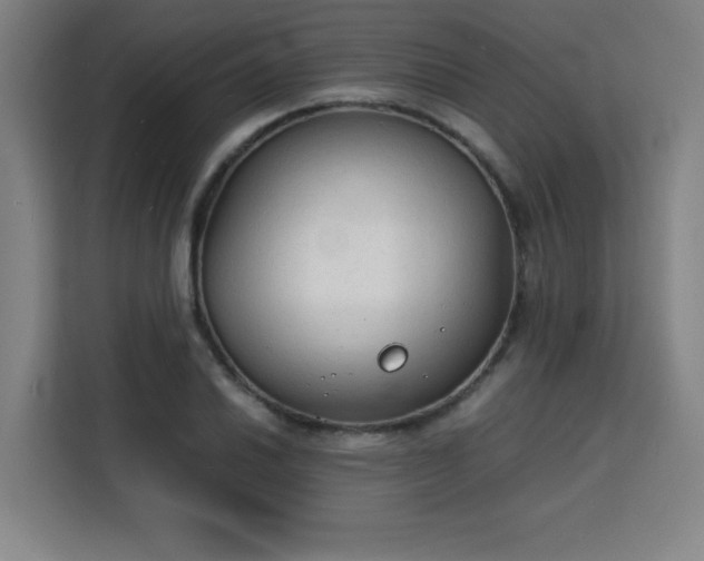 X0000115841030200911201548