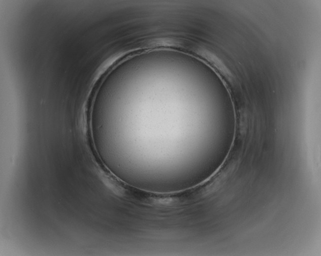 X0000115841031200911201548