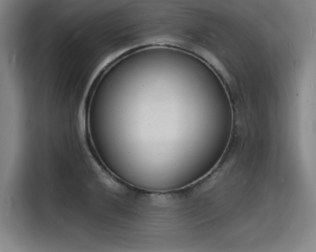 X0000115841032200911201548