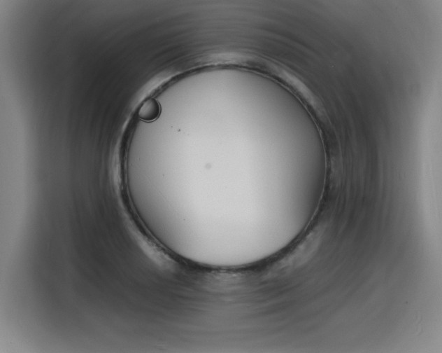 X0000115841034200911201548