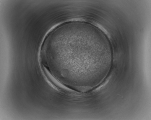 X0000115841037200911201549