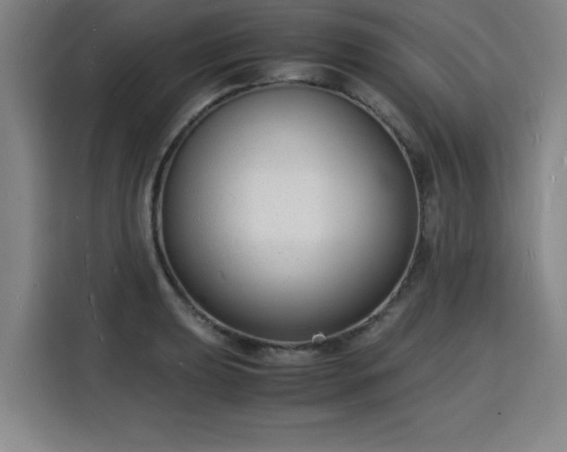 X0000115841039200911201549