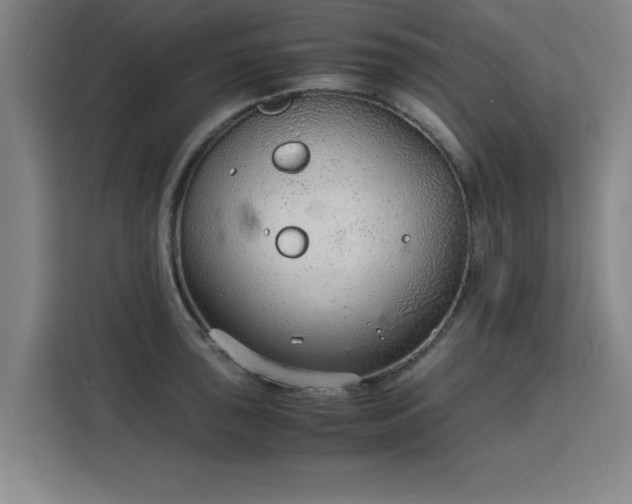 X0000115841043200911201549