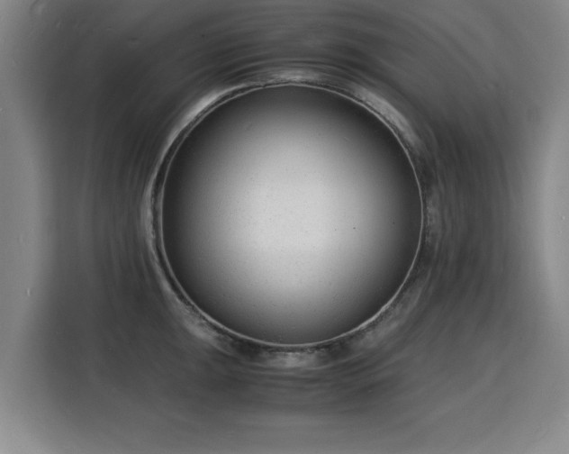 X0000115841047200911201549