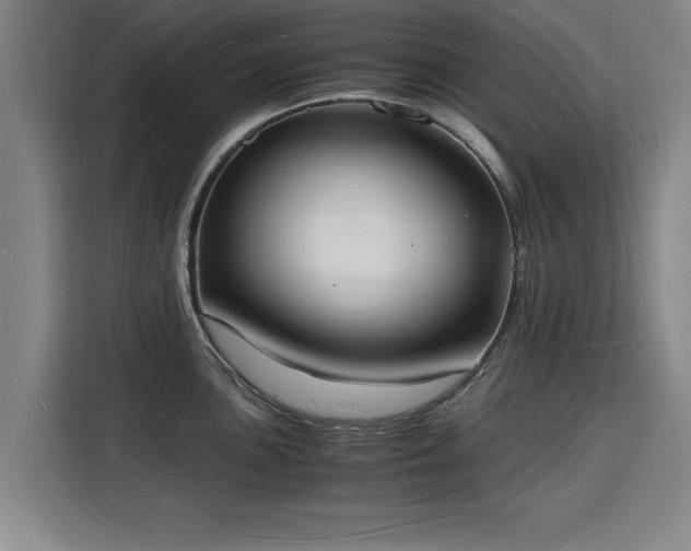 X0000115841051200911201549
