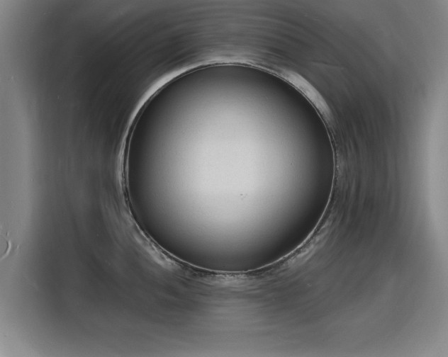 X0000115841052200911201549