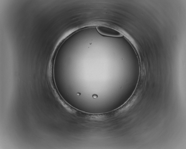 X0000115841053200911201549