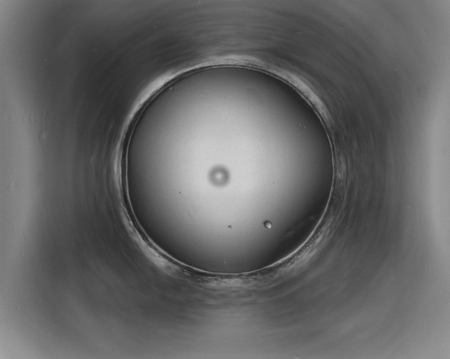 X0000115841054200911201549