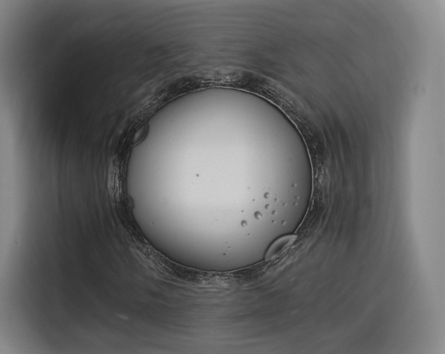 X0000115841058200911201548