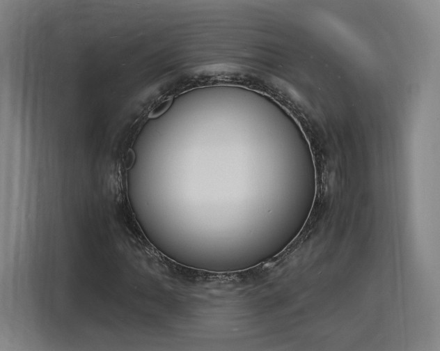 X0000115841062200911201548