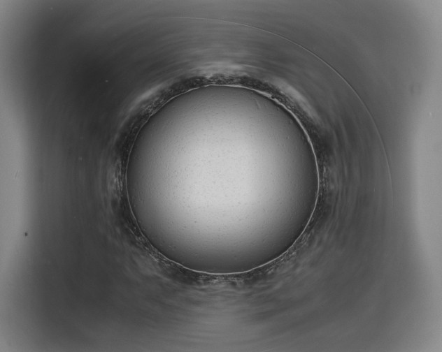 X0000115841063200911201548