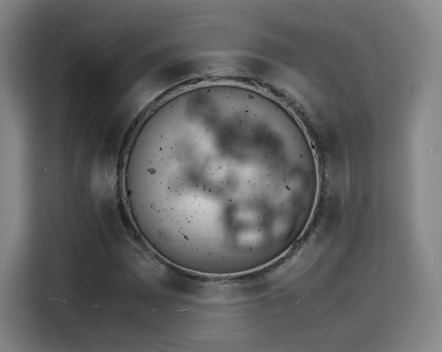 X0000115841065200911201548