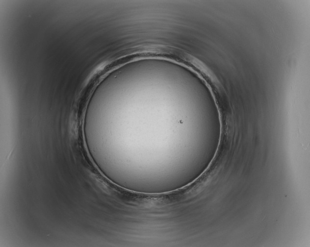 X0000115841067200911201548