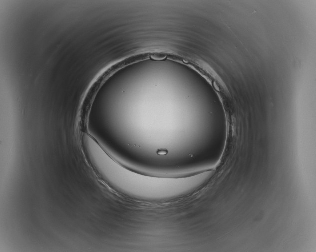 X0000115841068200911201548