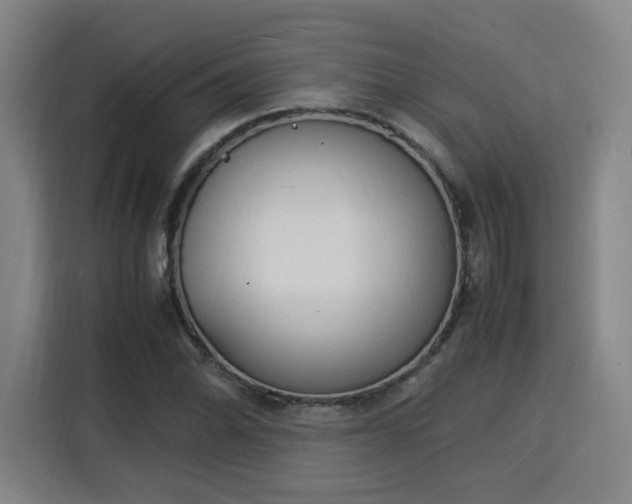 X0000115841070200911201548