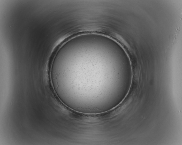 X0000115841071200911201548