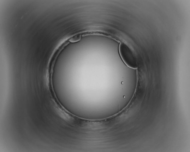 X0000115841076200911201548