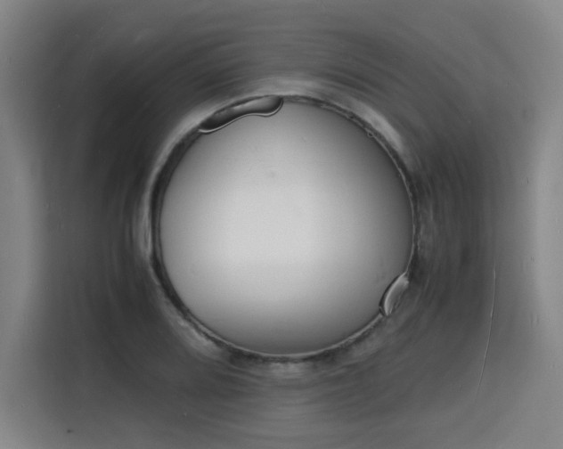 X0000115841080200911201548