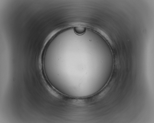 X0000115841082200911201548