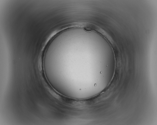 X0000115841083200911201548