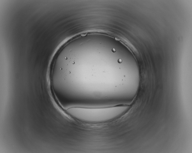 X0000115841084200911201548