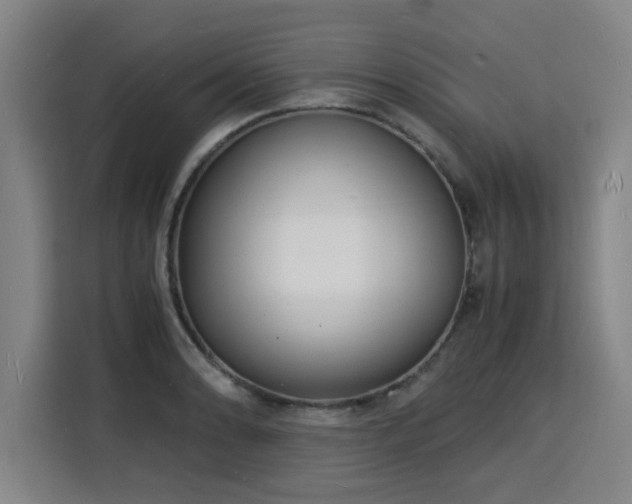 X0000115841086200911201548