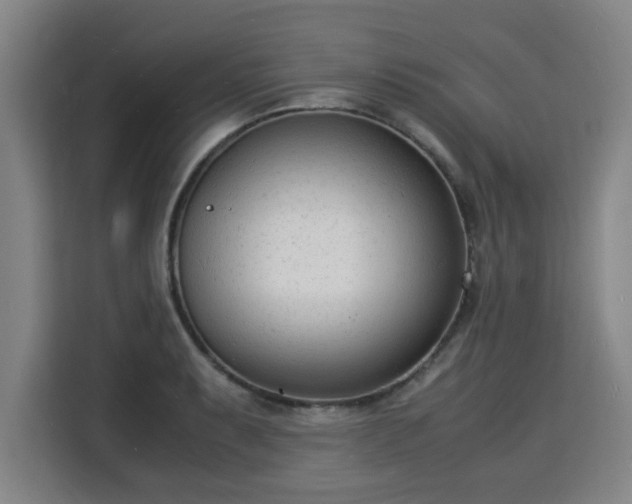 X0000115841087200911201548