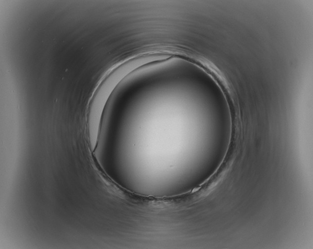 X0000115841089200911201548