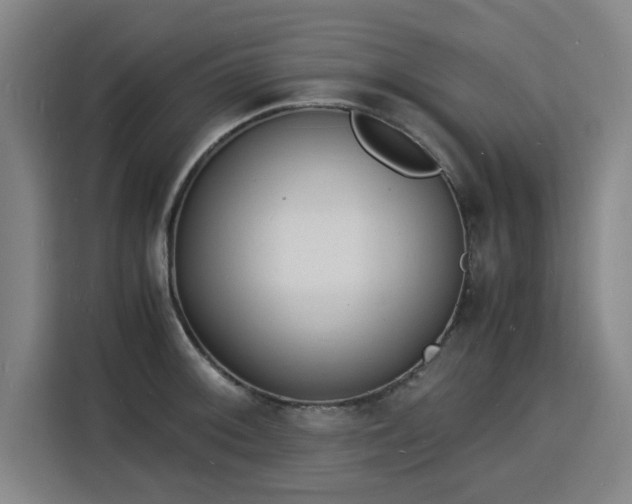 X0000115841092200911201548