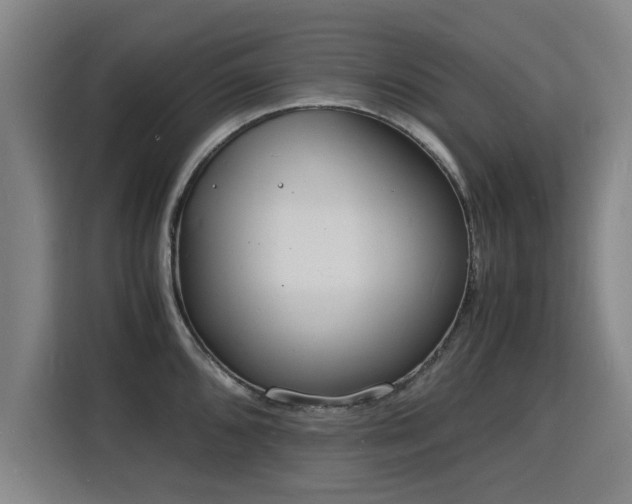 X0000115841096200911201548