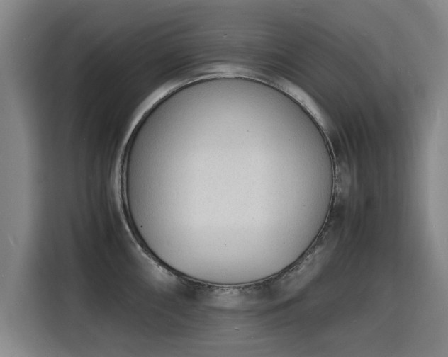 X0000115841098200911201548
