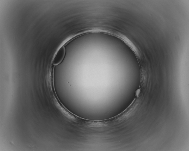 X0000115841100200911201548