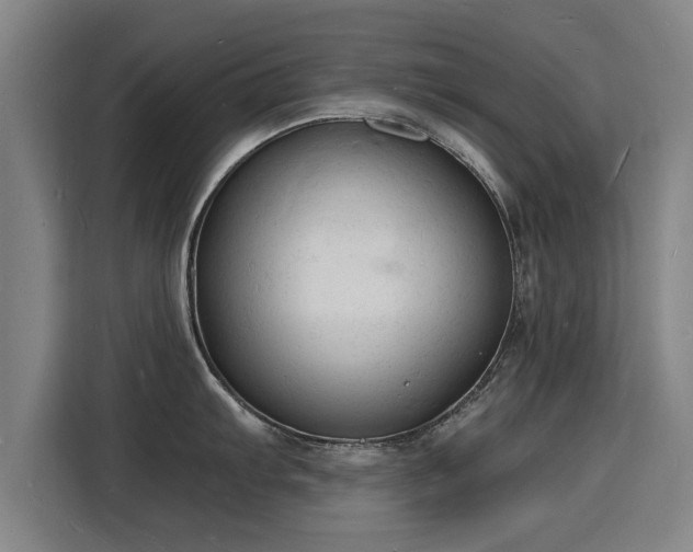 X0000115841103200911201548