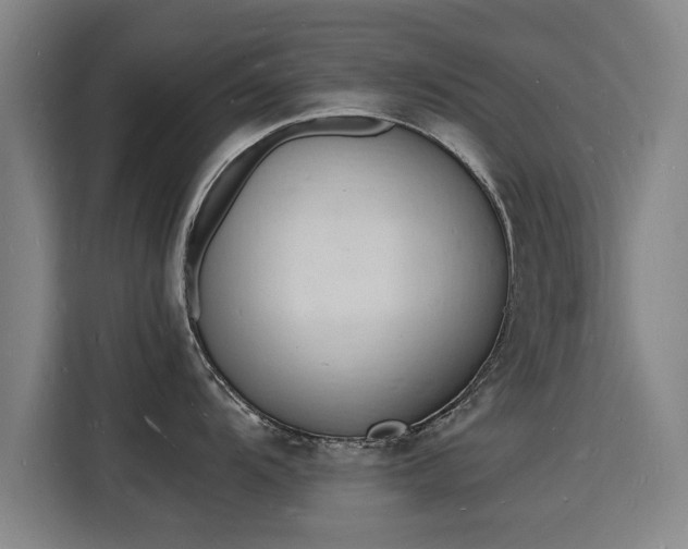 X0000115841104200911201548