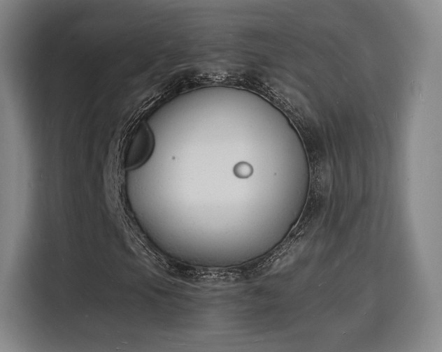 X0000115841105200911201547