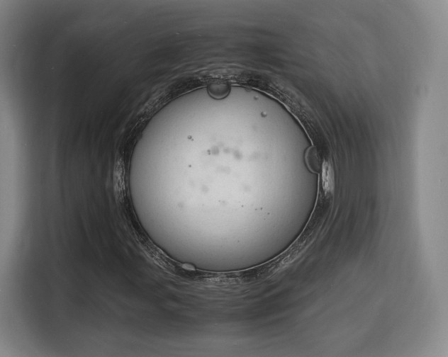 X0000115841107200911201547