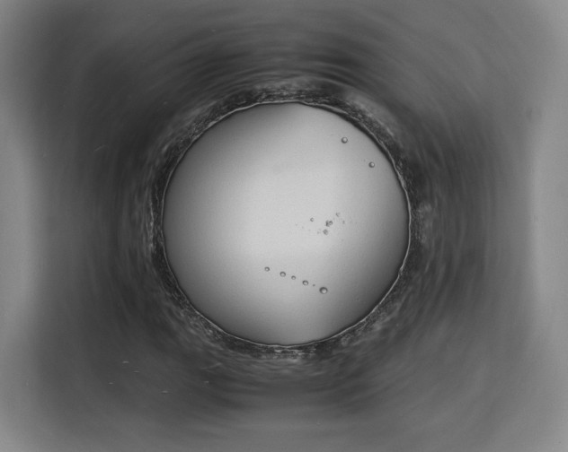 X0000115841111200911201547