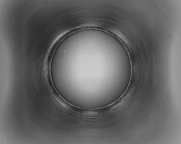X0000115841119200911201547