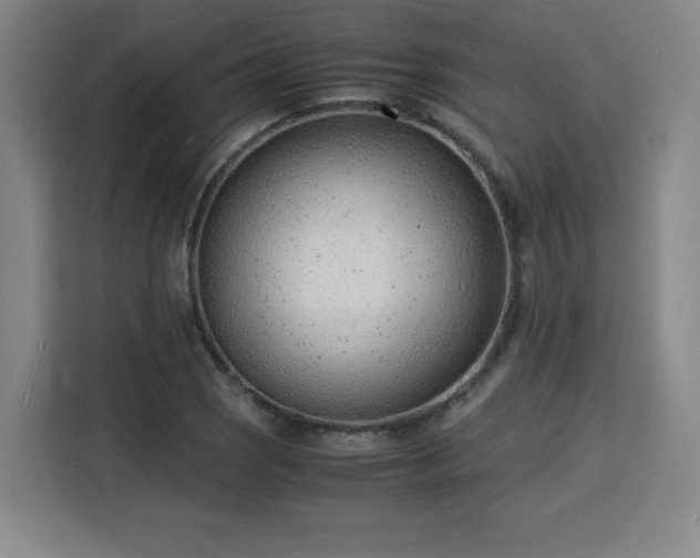 X0000115841121200911201547