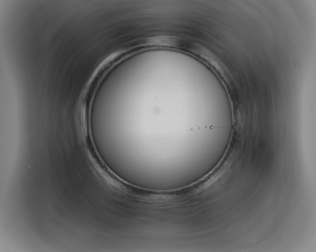 X0000115841123200911201547