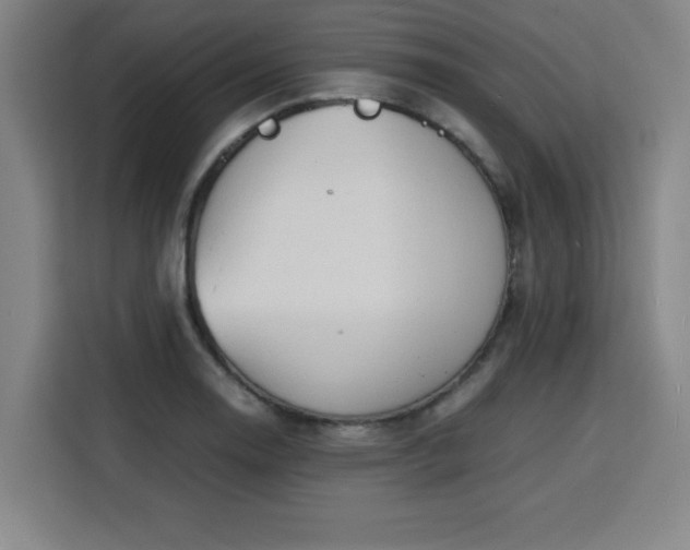 X0000115841130200911201547