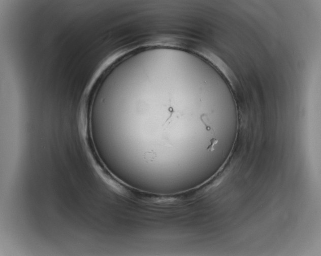 X0000115841131200911201547
