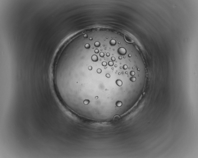 X0000115841133200911201547