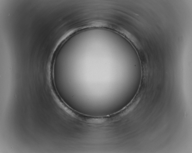 X0000115841134200911201547