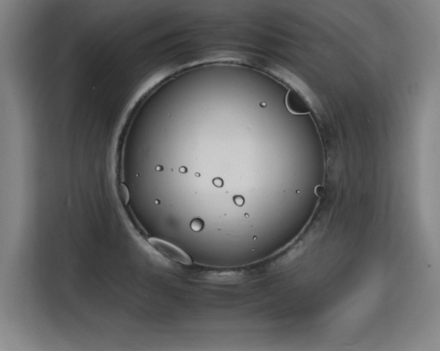 X0000115841135200911201547