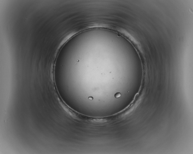 X0000115841137200911201547