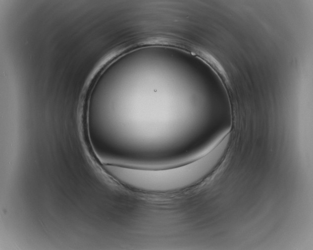 X0000115841138200911201547
