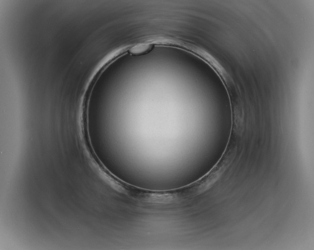 X0000115841142200911201547